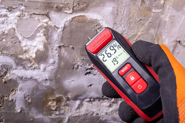 Best Post-Remediation Services in Oak Hill, OH
